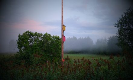 Tystnaden och “Nu jävlar”